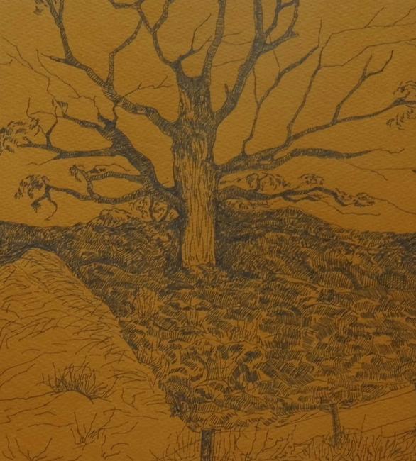 Old Oak