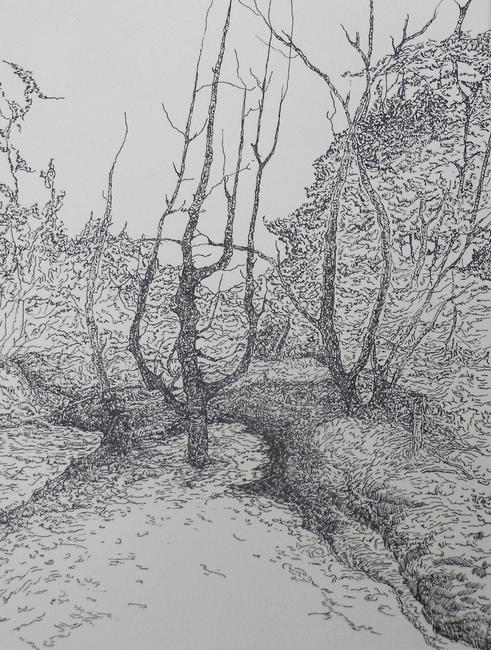 The Fork Tree