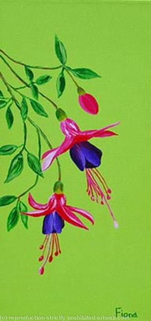 Fuchsia Jeanne