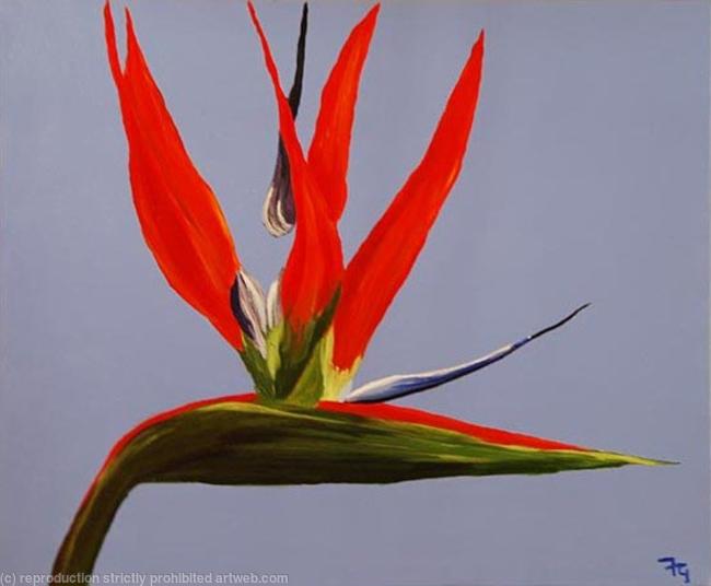 Strelitzia