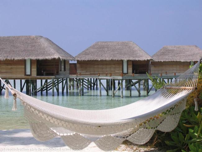Hammock