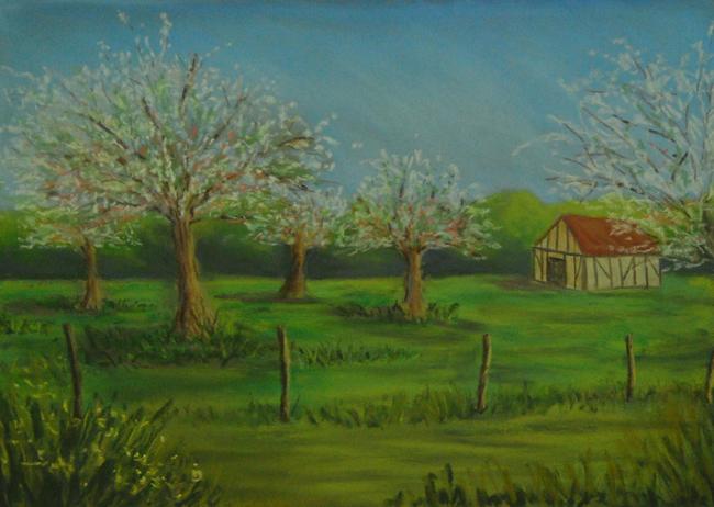 Apple Orchard