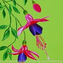 Fuchsia Jeanne
