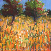 Mallorca Fields