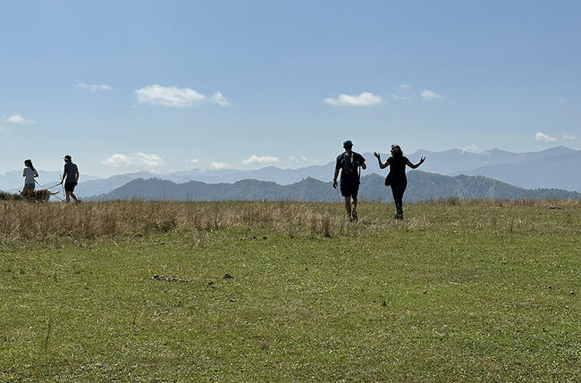 walking and talking