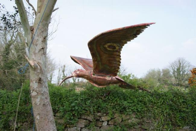 giant curlew