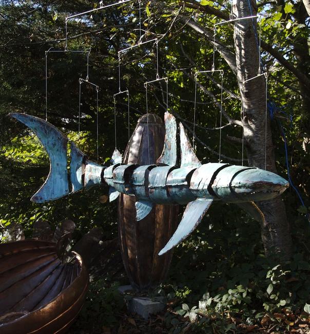 shark