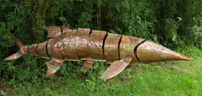 sturgeon