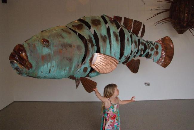 giant potato cod