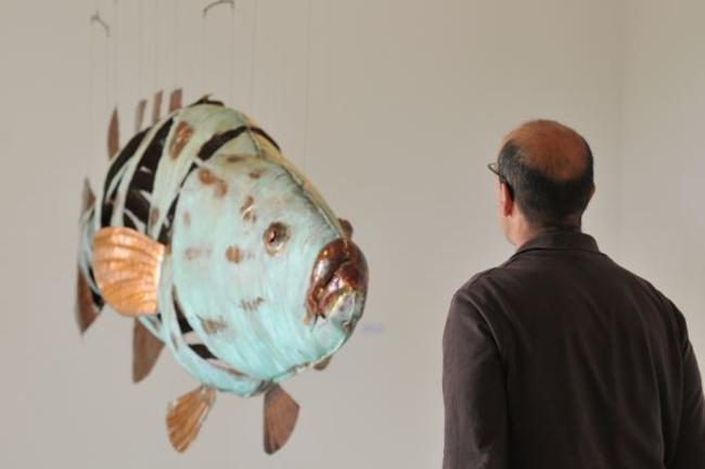 8ft potato cod