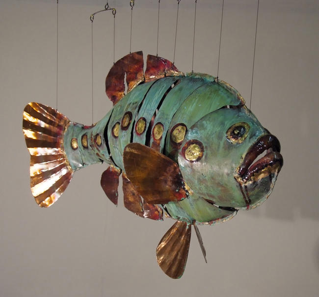 green grouper with a line of gold spots