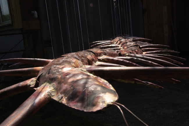 giant centipede