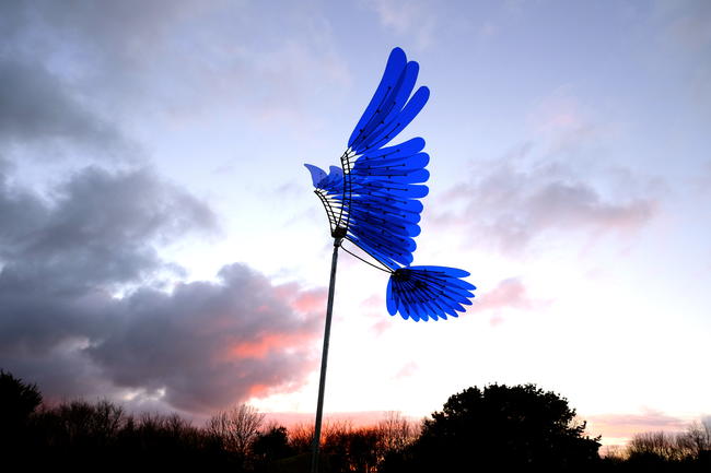 blue wings currently at Tremenheere sculpture gardens