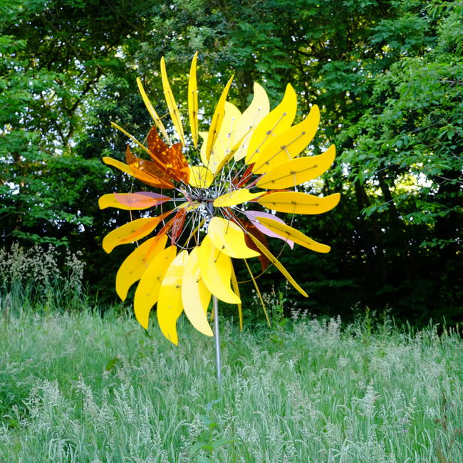 yellow sunflower with orange centre