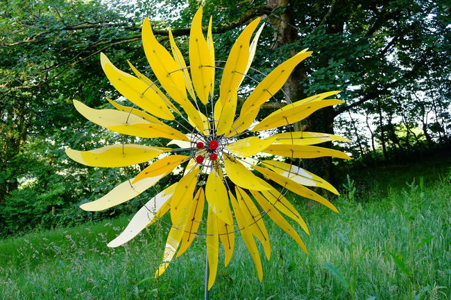 yellow sunflower with yellow centre