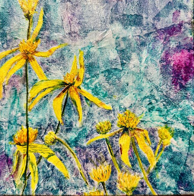 Florida False Sunflower - SOLD