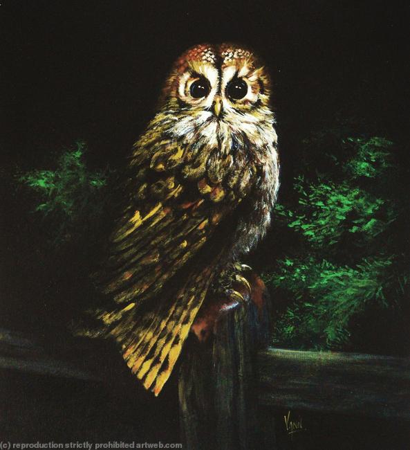 Old Tawny