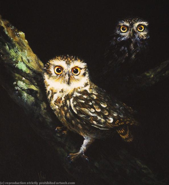 Eye-catchers (Little Owls)