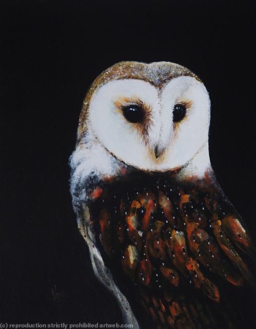 Eye to Eye (Barn Owl)