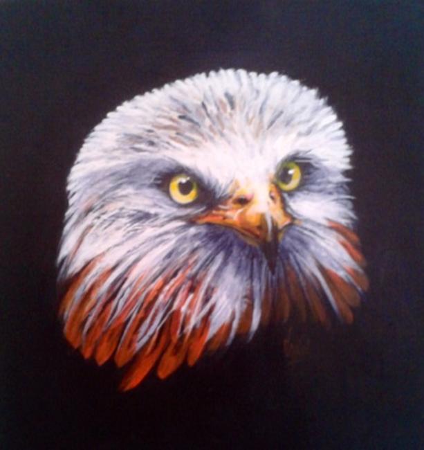 Red Kite