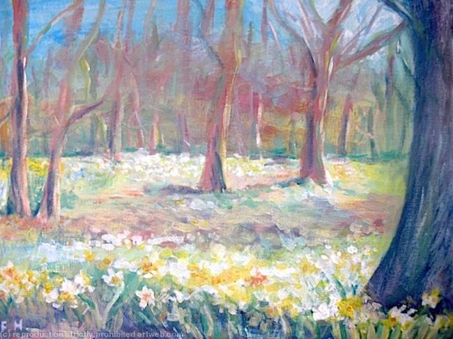 Daffodil Woods
