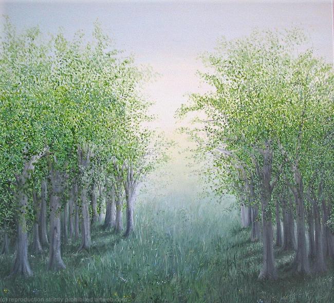 Summer Evening Light