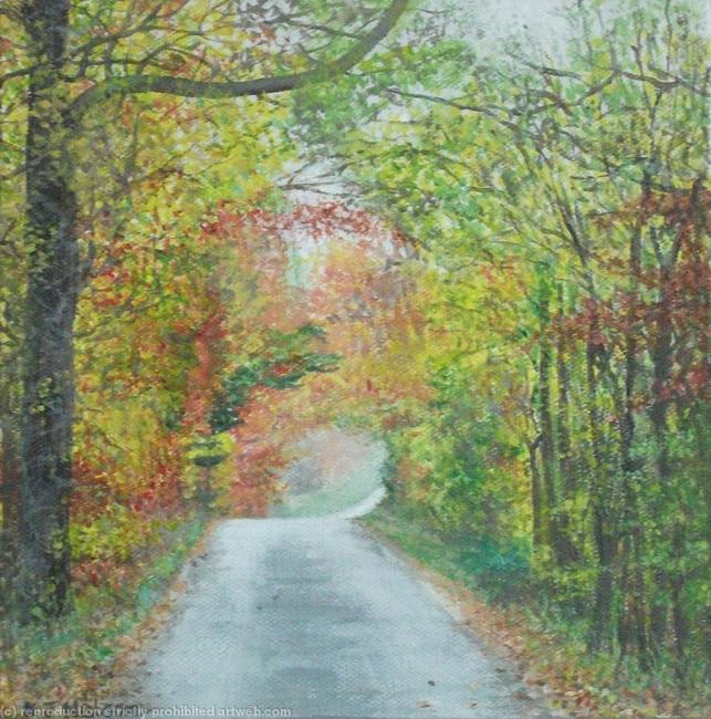 Tunnel of Autumn Trees