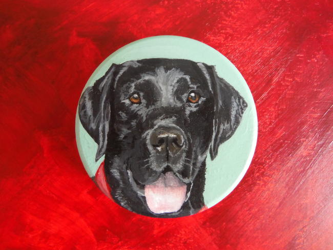 Black Labrador Miniature
