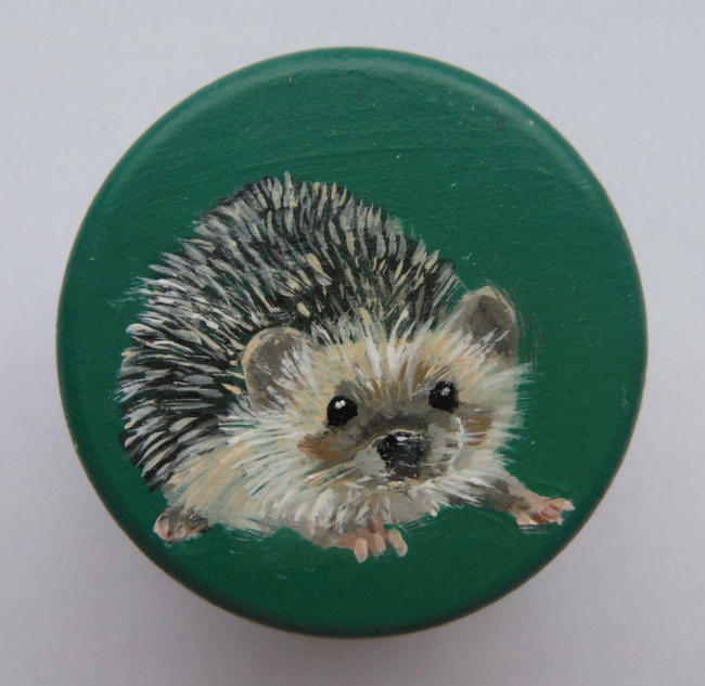 Hedgehog Miniature