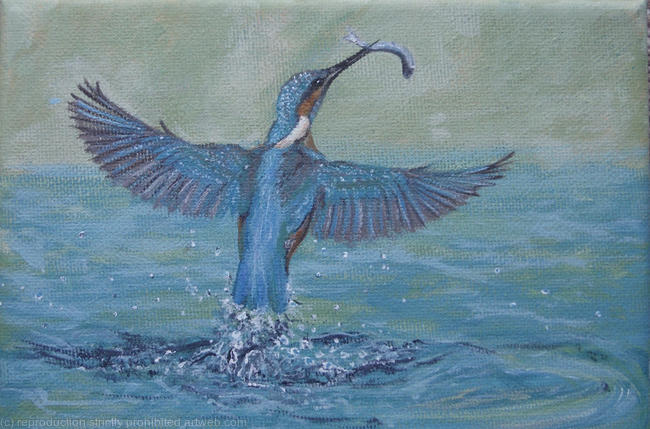 A Splash of Blue
