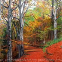 Autumn Colours I Torsonce