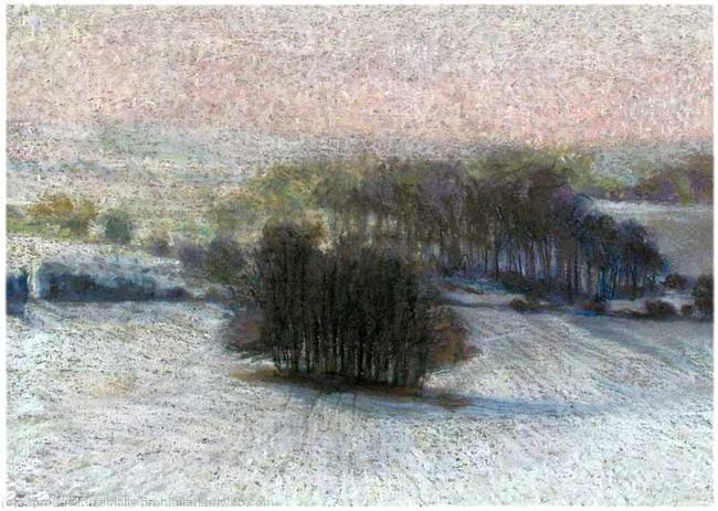 Winter Copse
