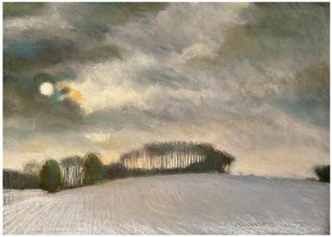 Snowy Field