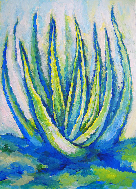 Aloe Vera (Barbadensis)