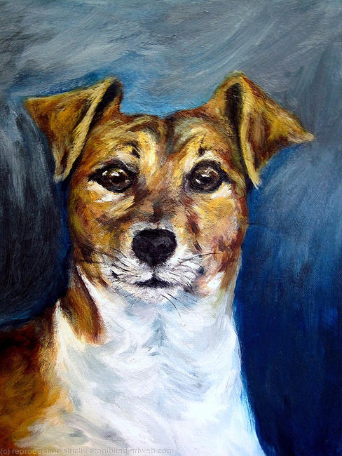 Plummer Terrier