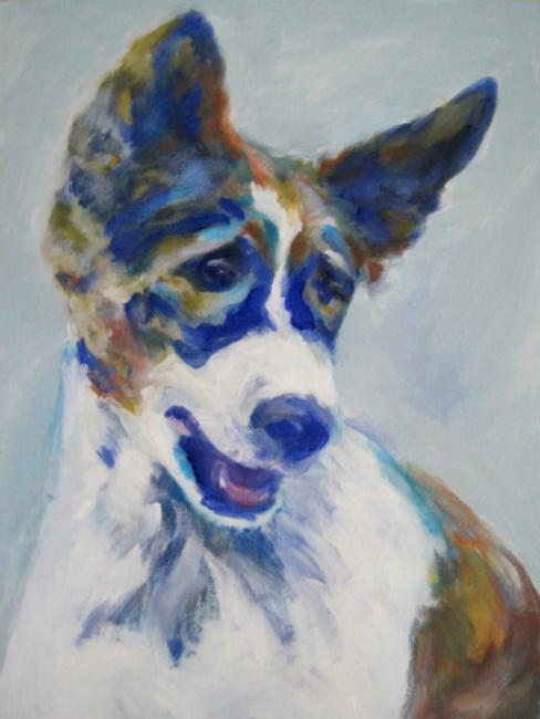 Young Dog
