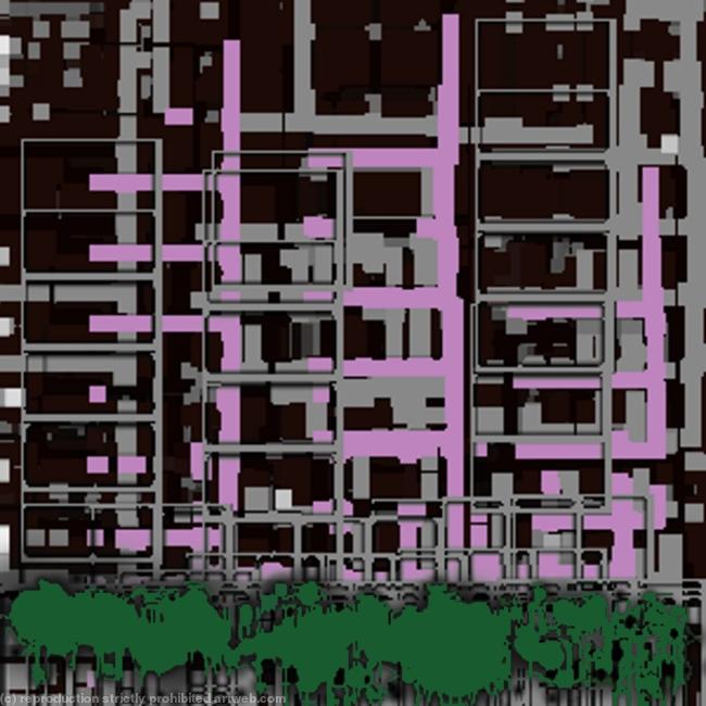 Urban jungle