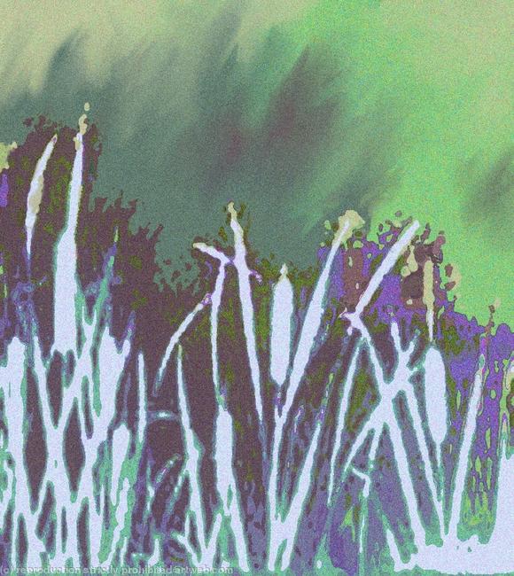 Bullrushes out