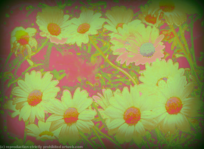 Daisy chain