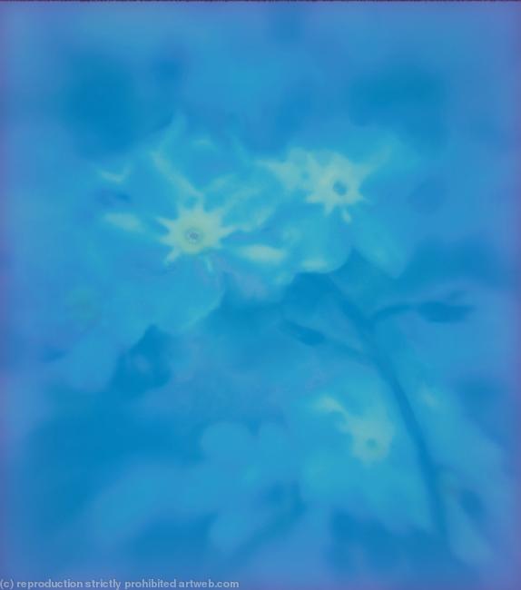 forget-me-nots blue