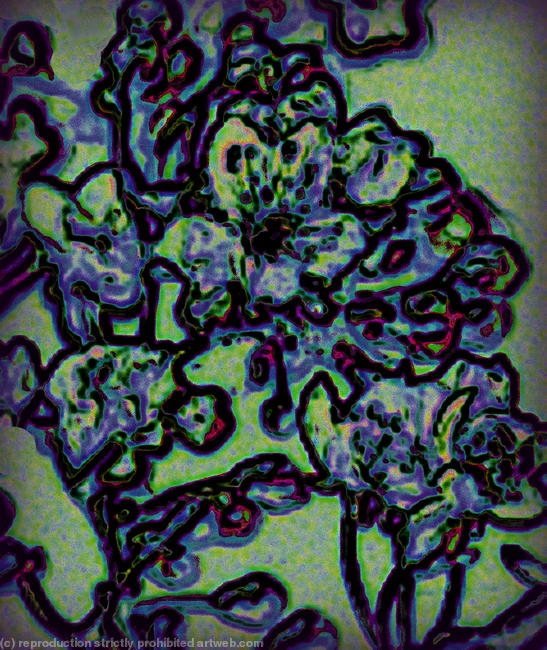 Cherry blossom 2.