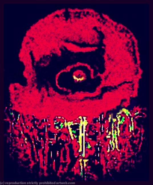 Poppy