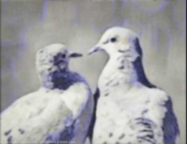 Doveheart