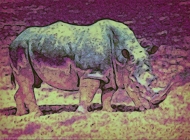 World Rhino Day