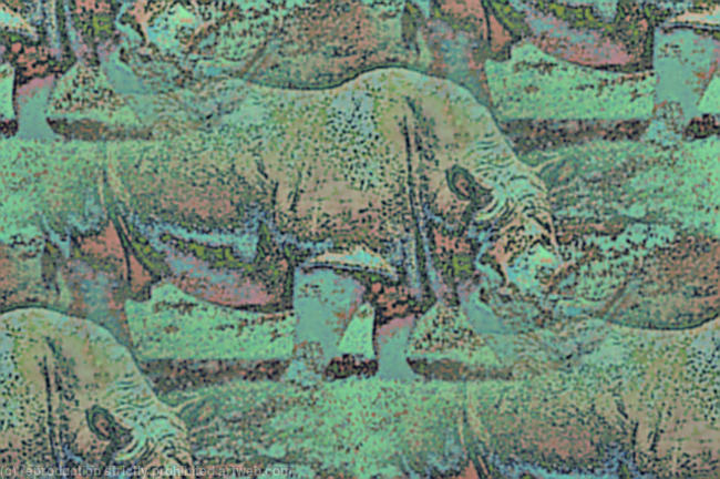 Rhinos