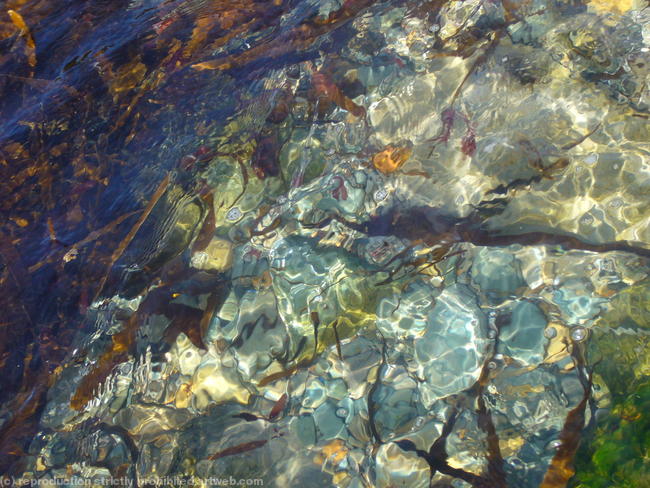 rock pool