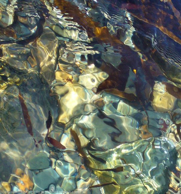 rockpool 2