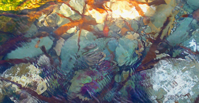 20100429_8