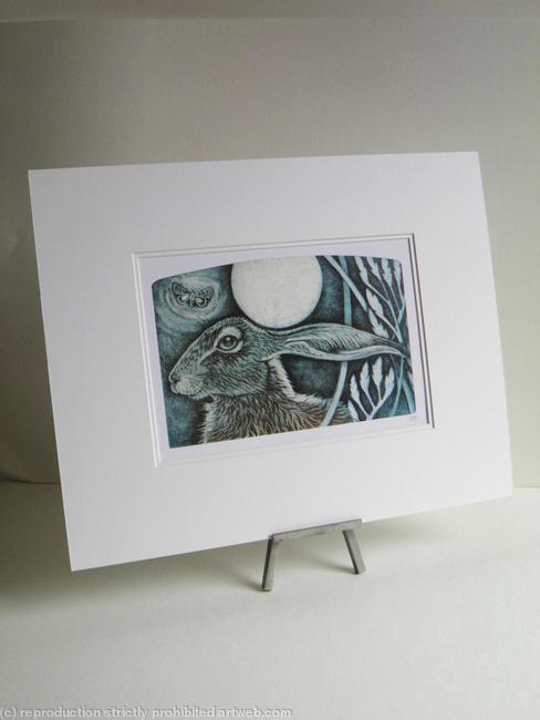Hare Blue
