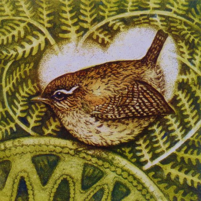Feather and Fern